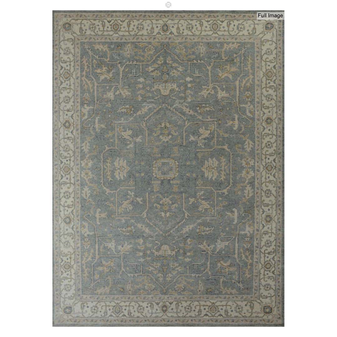 Amazing Ariana 125 - Transitional Rug - Floral Oriental Design - 8' x 10' ft