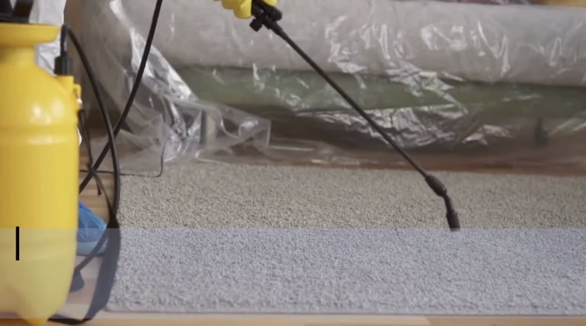 carpet disinfection