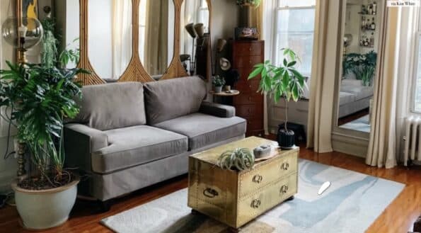 area rugs on hardwood floors
