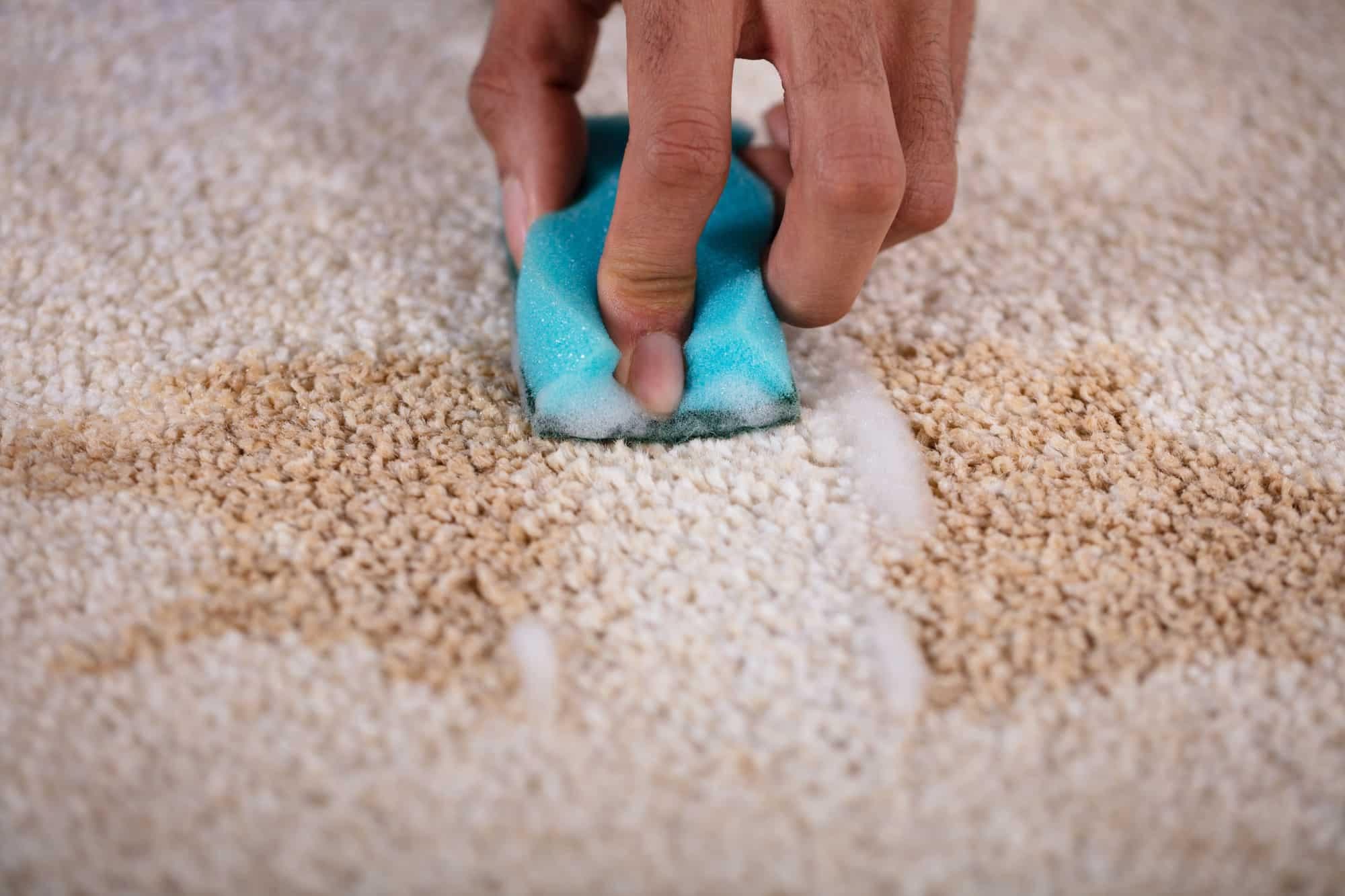 Stain remove1
