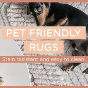 pet friendly rugs