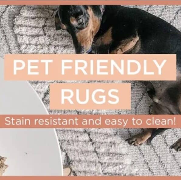 pet friendly rugs