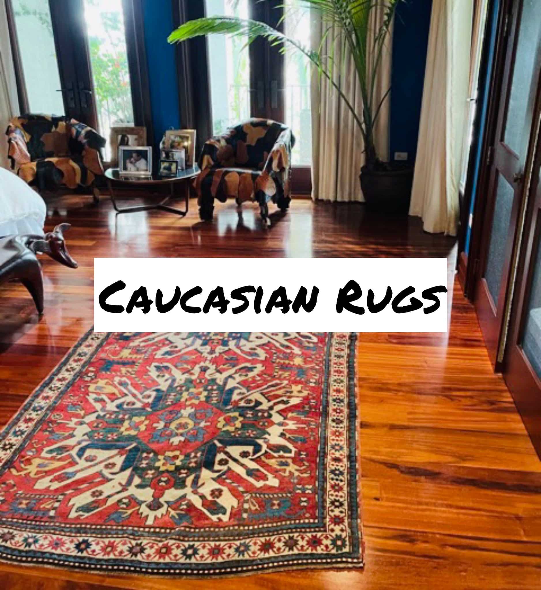 caucasian rugs in chicago