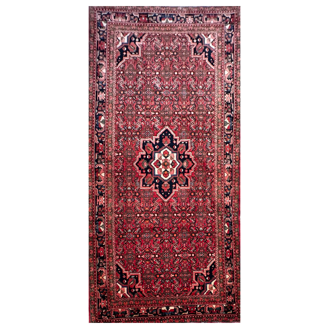 Handsome Hamadan - 1950s Antique Persian Rug - 5'2 x 10'4 ft.