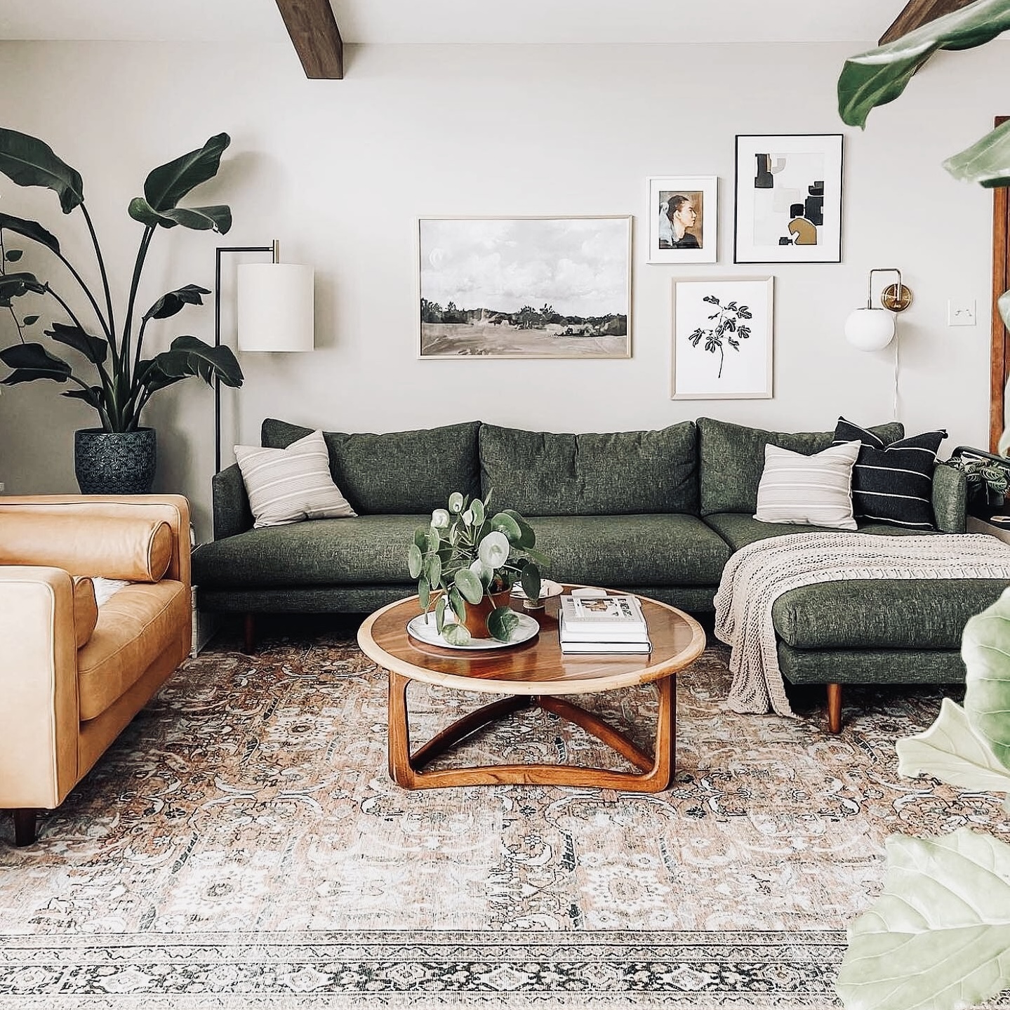 pairing colors rug with couch chicago