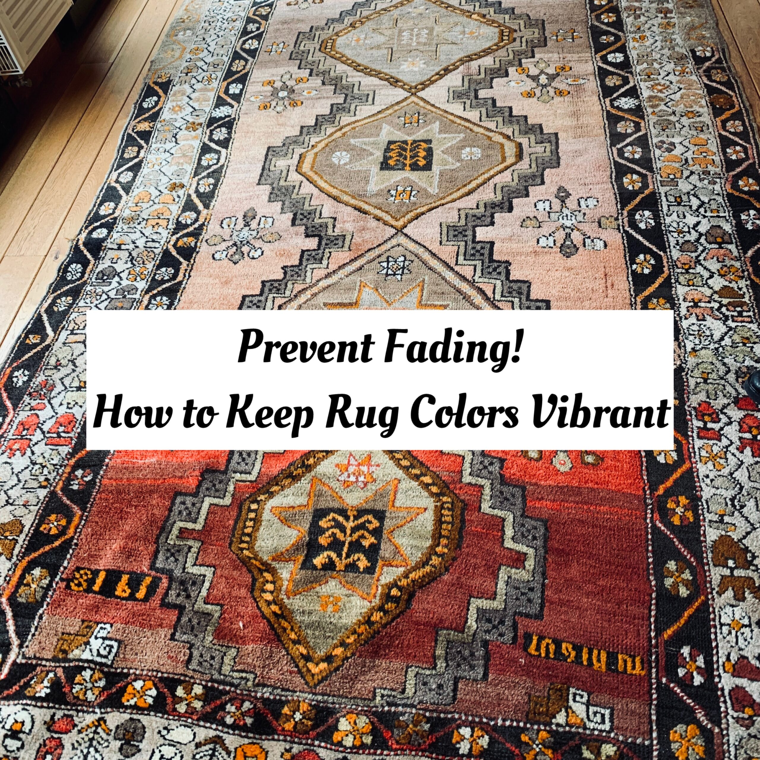 how to keep rug colors vibrant prevent fading