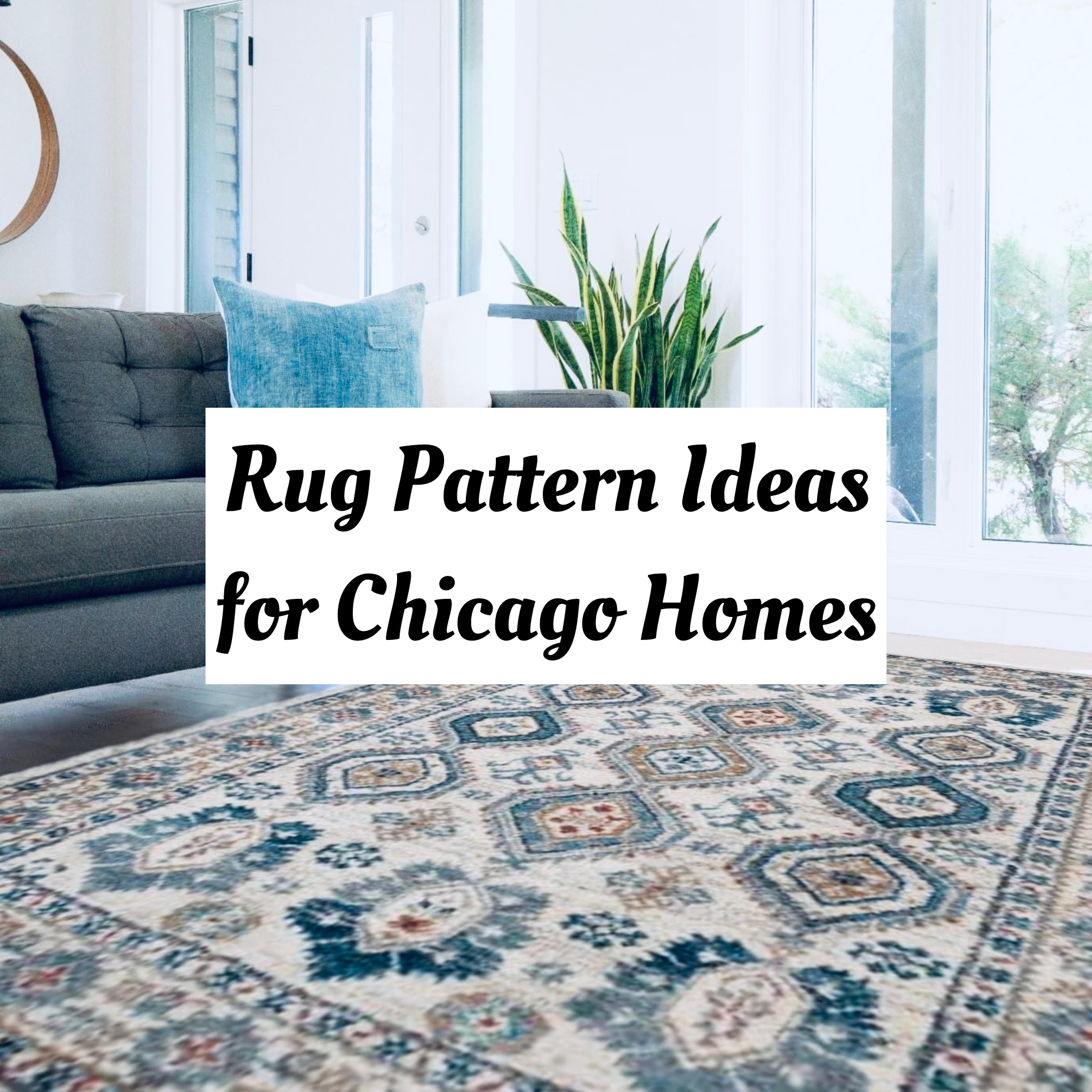 rug pattern ideas chicago homes