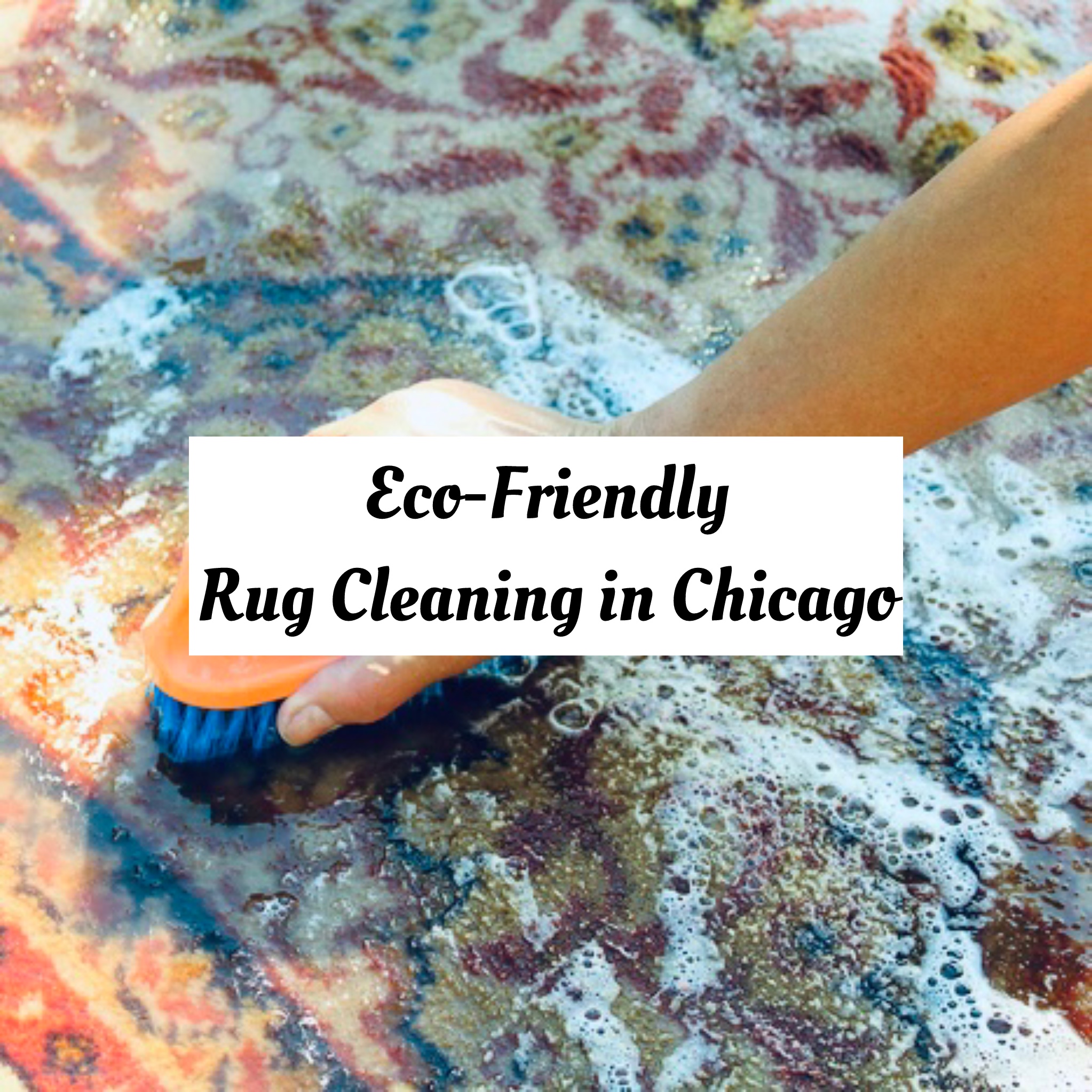 eco-friendly rug cleaning chicago