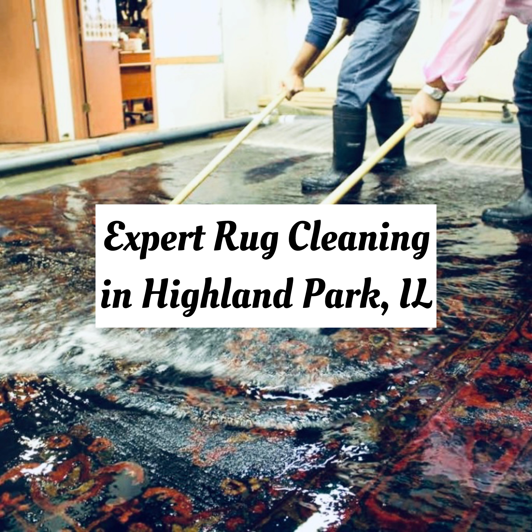 expert rug cleaning in highland park il