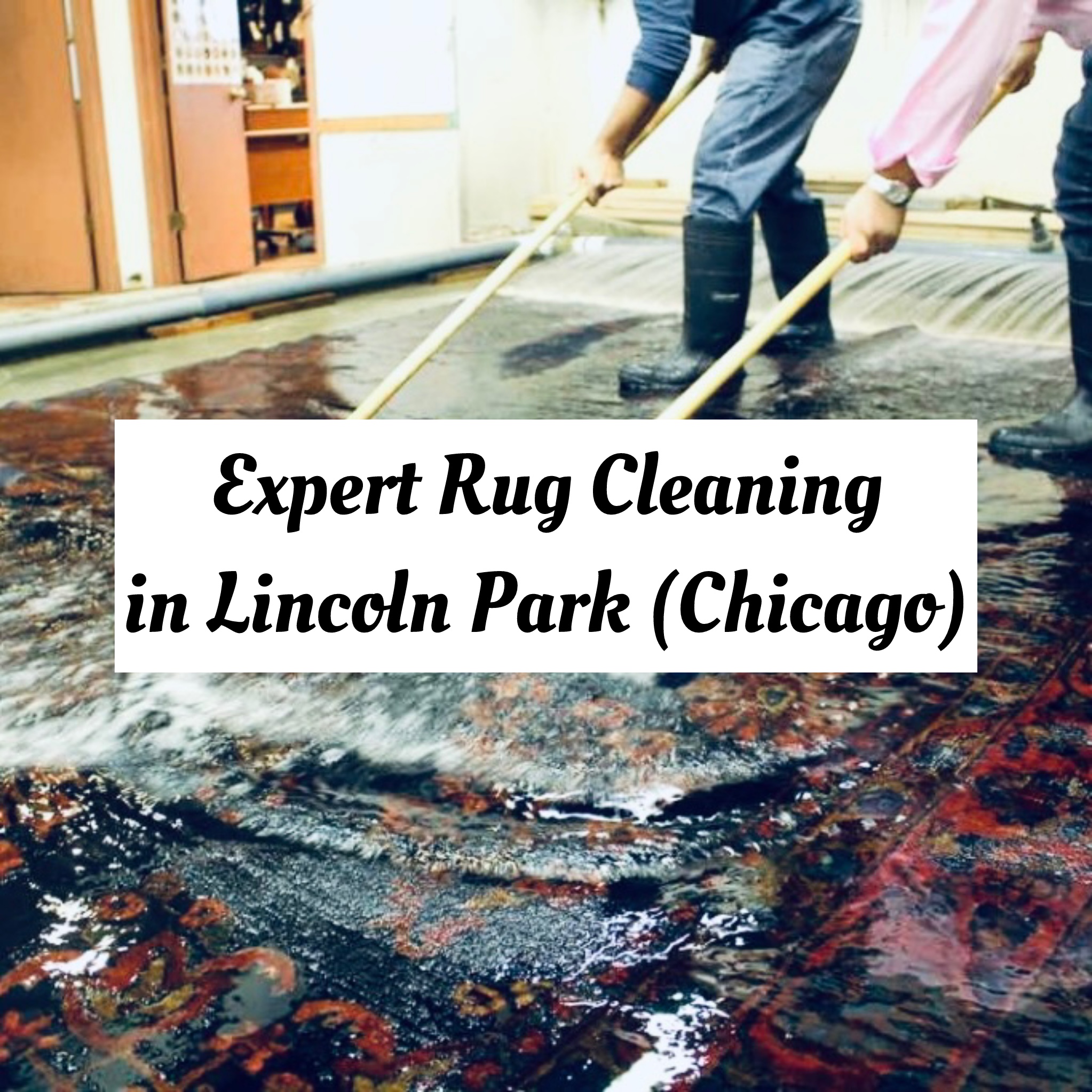 expert rug cleaning in lincoln park chicago