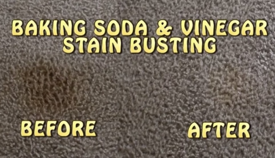 soda stains remove carpet