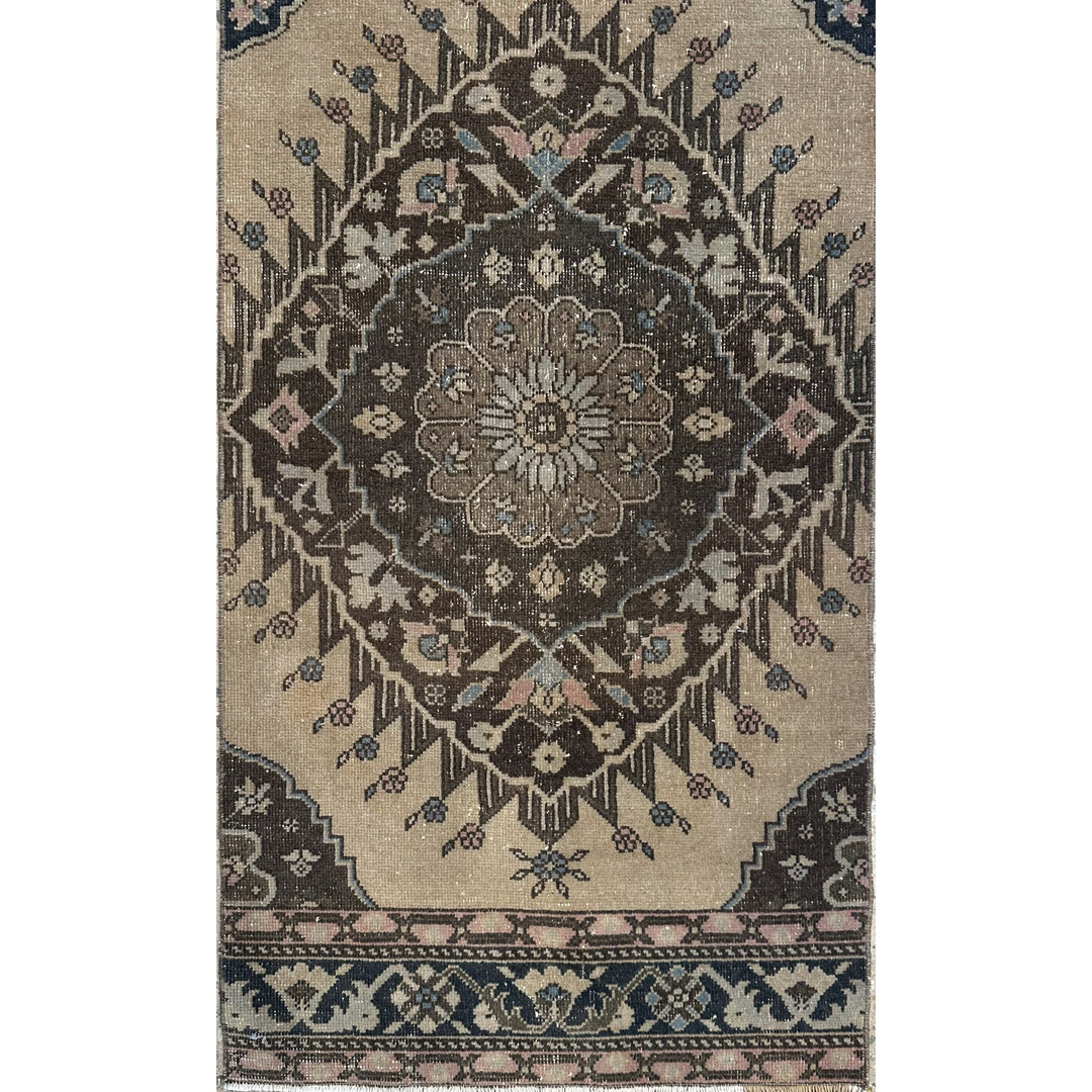 Amazing Anatolian - Turkish Runner - 2'9" x 25'1" ft.