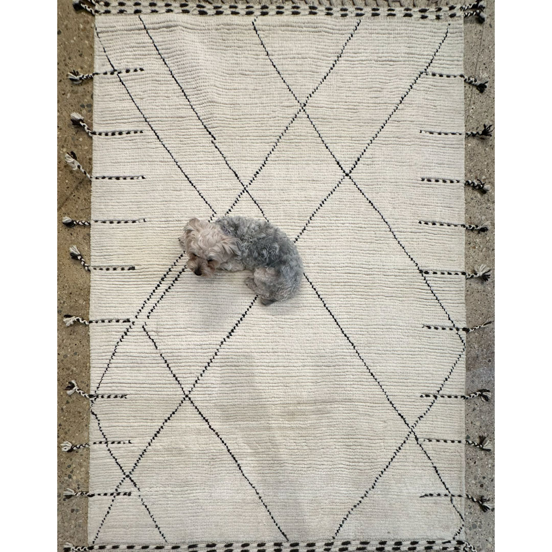 Modern Moroccan-Style - Afghan Area Rug – 4'2" x 6'5" ft.